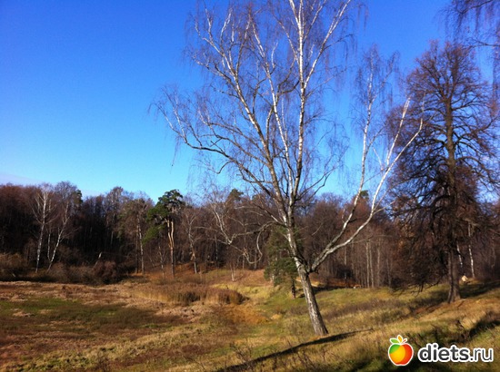 15 ����: ���������