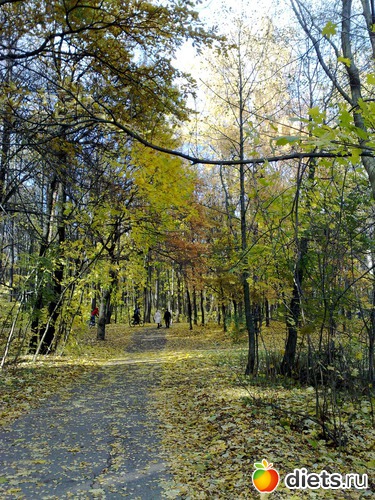 17 ����: ���������