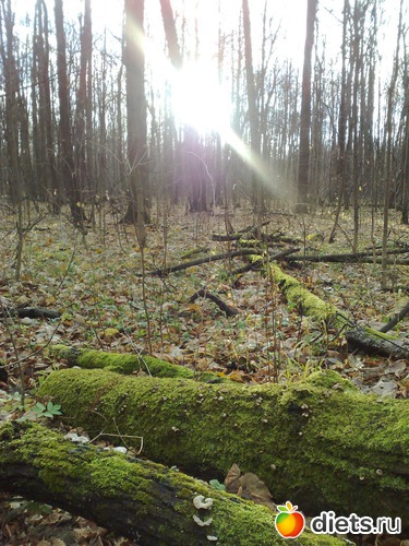 18 ����: ���������