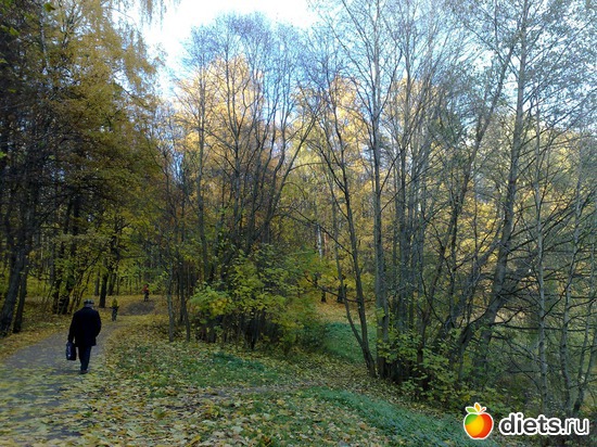 19 ����: ���������