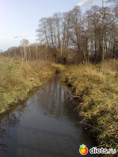 20 ����: ���������