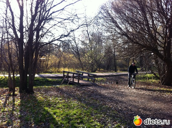 21 ����: ���������