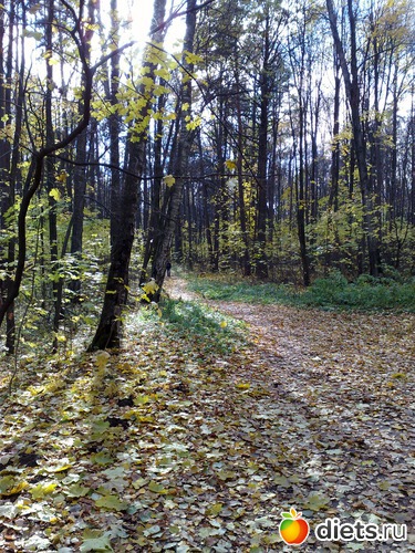 23 ����: ���������