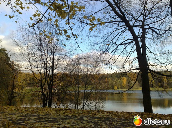 25 ����: ���������