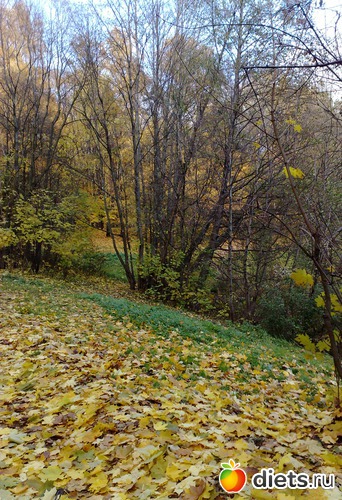 26 ����: ���������