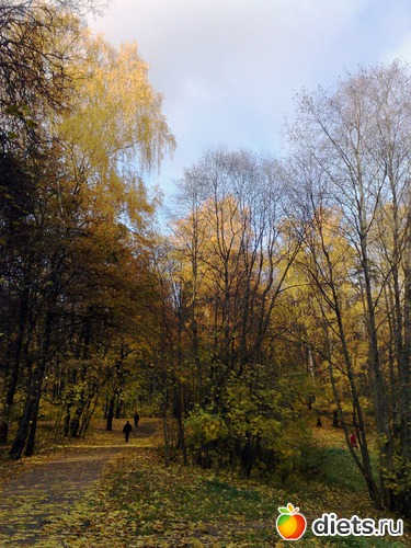 27 ����: ���������