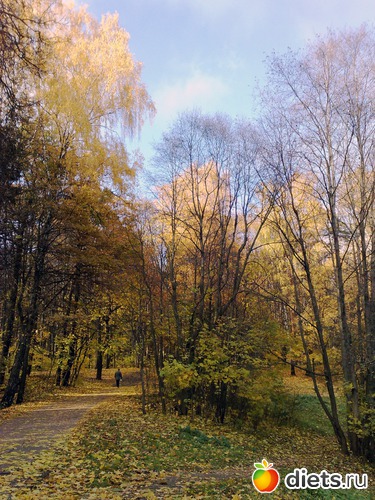 28 ����: ���������