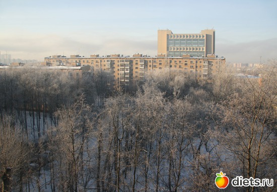 29 ����: ���������