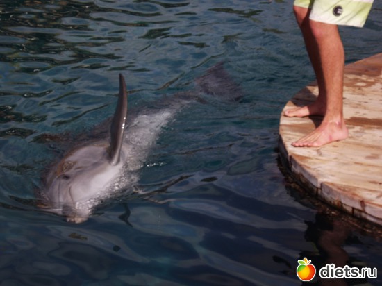 16 ����: ���� ���� ��� ���������...