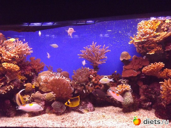 1 фото: море море мир бездонный...