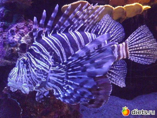 2 фото: море море мир бездонный...