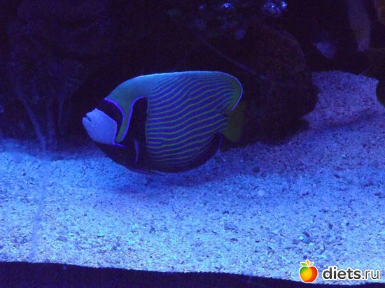 3 фото: море море мир бездонный...