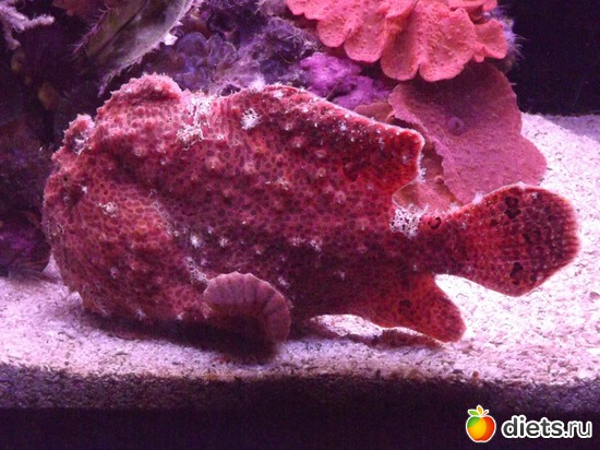 4 фото: море море мир бездонный...