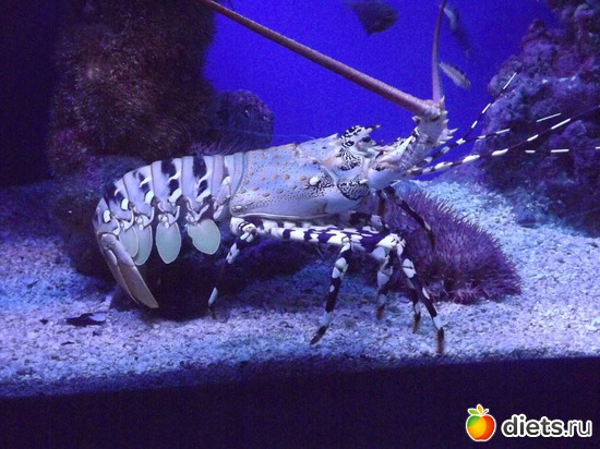 5 фото: море море мир бездонный...