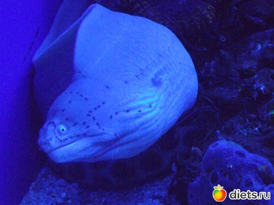 6 фото: море море мир бездонный...