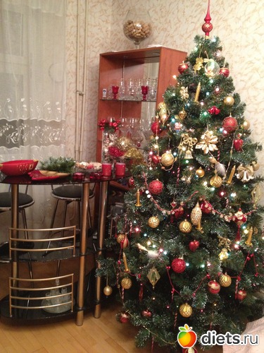 1 фото: Новый год 2013