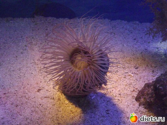 8 ����: ���� ���� ��� ���������...