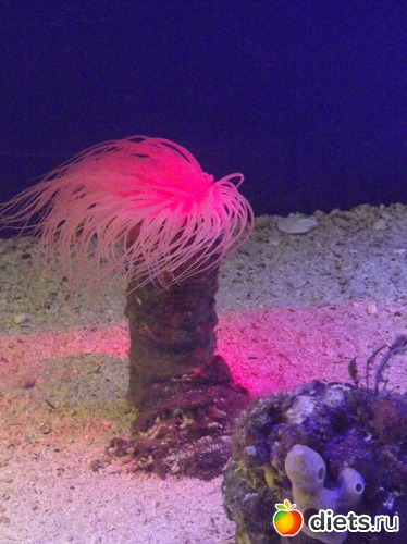 9 ����: ���� ���� ��� ���������...