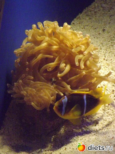 10 ����: ���� ���� ��� ���������...