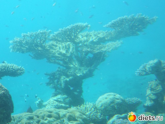 11 фото: море море мир бездонный...