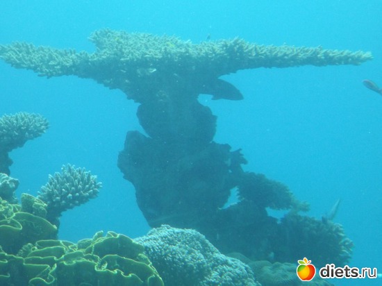 12 фото: море море мир бездонный...