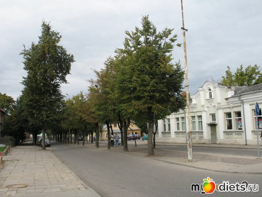 ��� ������ ����� �������