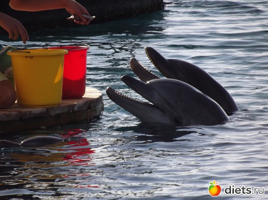 13 фото: море море мир бездонный...