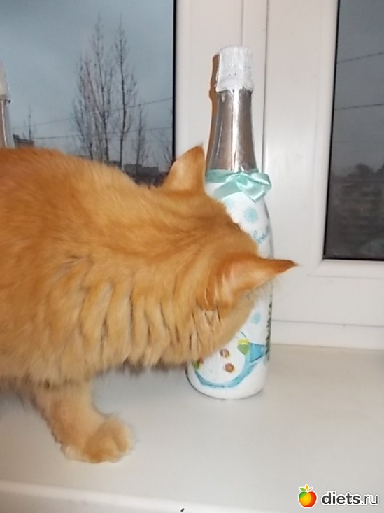 1 ����: ����