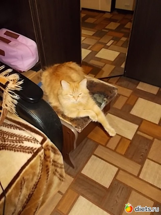 2 ����: ����