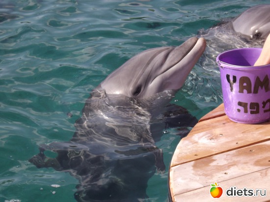 14 фото: море море мир бездонный...