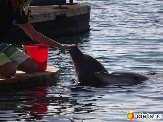 15 фото: море море мир бездонный...