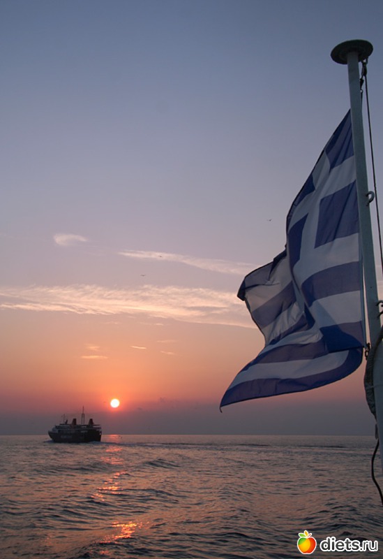 14 ����: ������