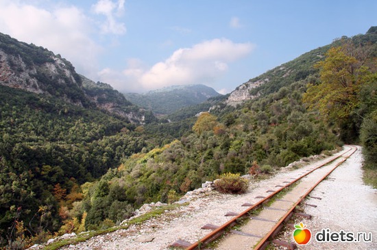 44 ����: ������