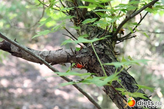 29 фото: Греция