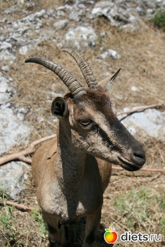 18 фото: Греция