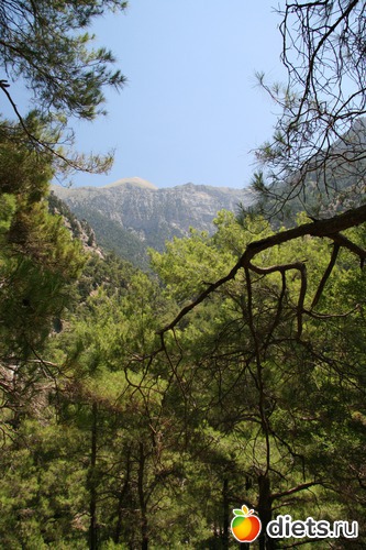 19 ����: ������