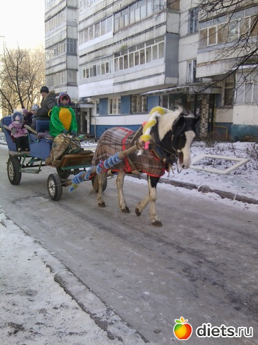 5 фото: Елка во дворе