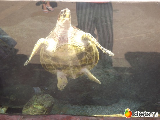 18 фото: море море мир бездонный...