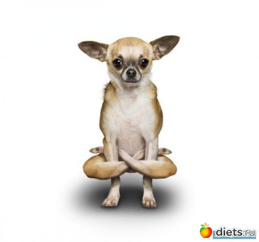 2 ����: ������