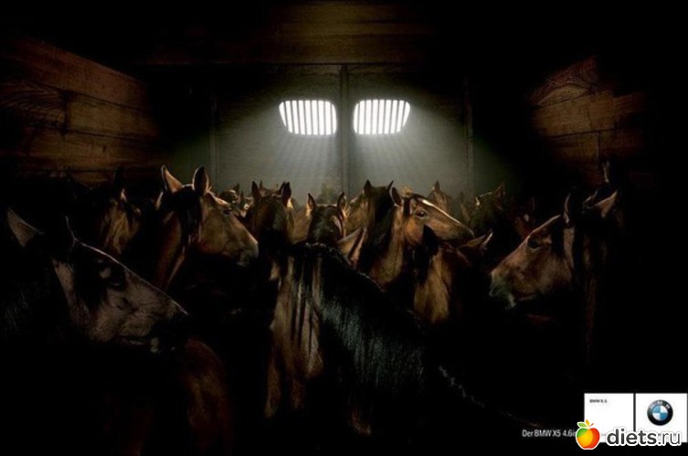 174 ����: ��� ������