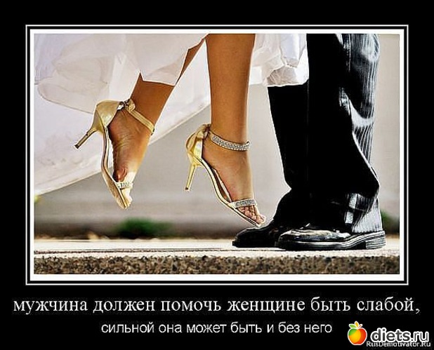 15 ����: ���������