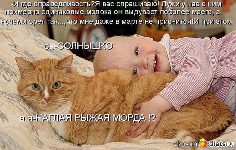 16 ����: ���������