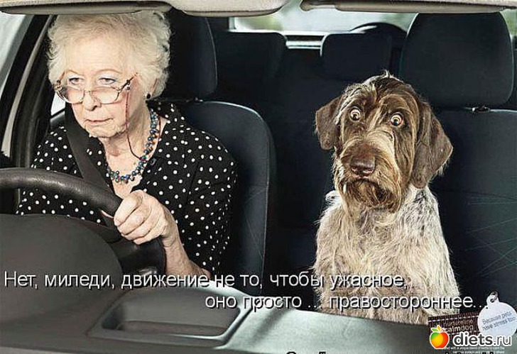 22 ����: ���������