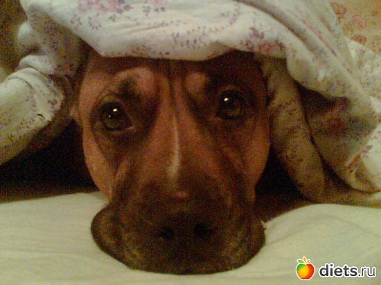 Чаруня, альбом: 111