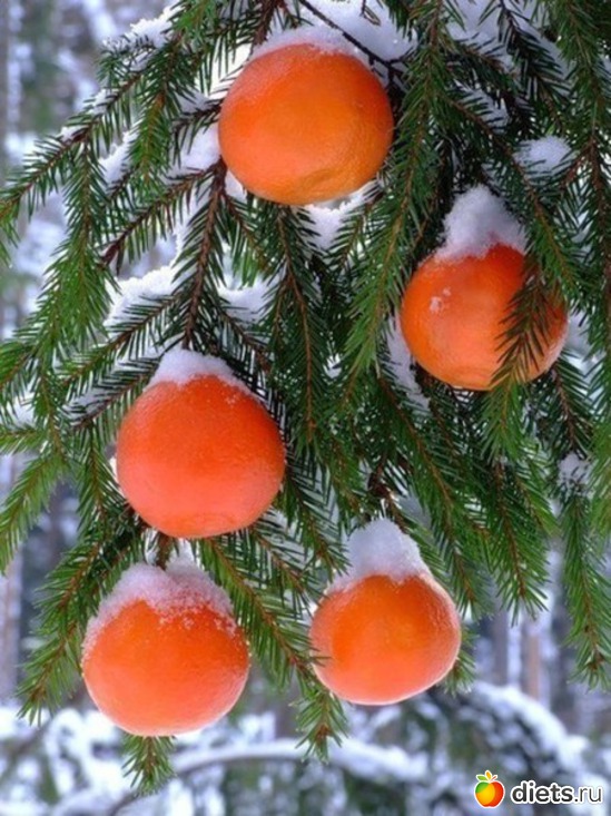 2 ����: ���������� ��������