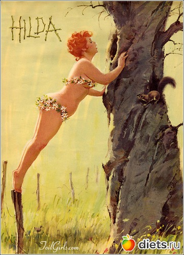 26 ����: ��������� - ��������