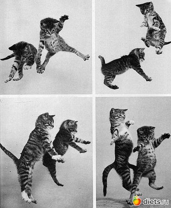 8 ����: ��, ��� ���� ����������