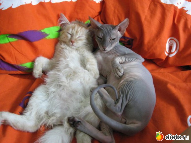 2 ����: ������ ����