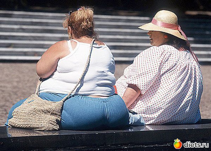 1 ����: �����