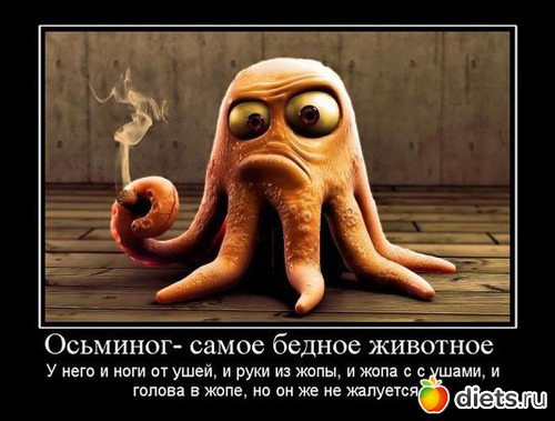 ������ �������� ��������